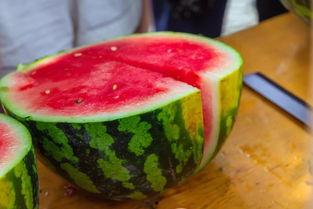 郑州大学免费吃瓜,免费瓜果盛宴,共享清凉时光 第2张 郑州大学免费吃瓜,免费瓜果盛宴,共享清凉时光 第2张