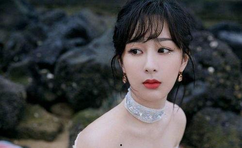 杨紫小说爆料视频合集,揭秘幕后故事与精彩片段